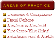 Areas of Practice